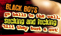 Black boys go balls to the wall, sucking and fucking 'till they bust a nut!