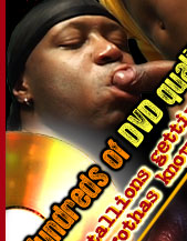 Hundreds of DVD quality movies