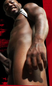 These horse-hung dawgs make you sit up and take notice of their huge manhoods! 